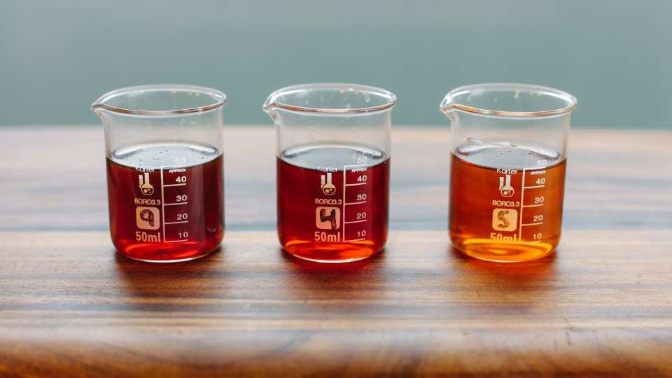 Fish Sauce Taste Test Color Comparrison