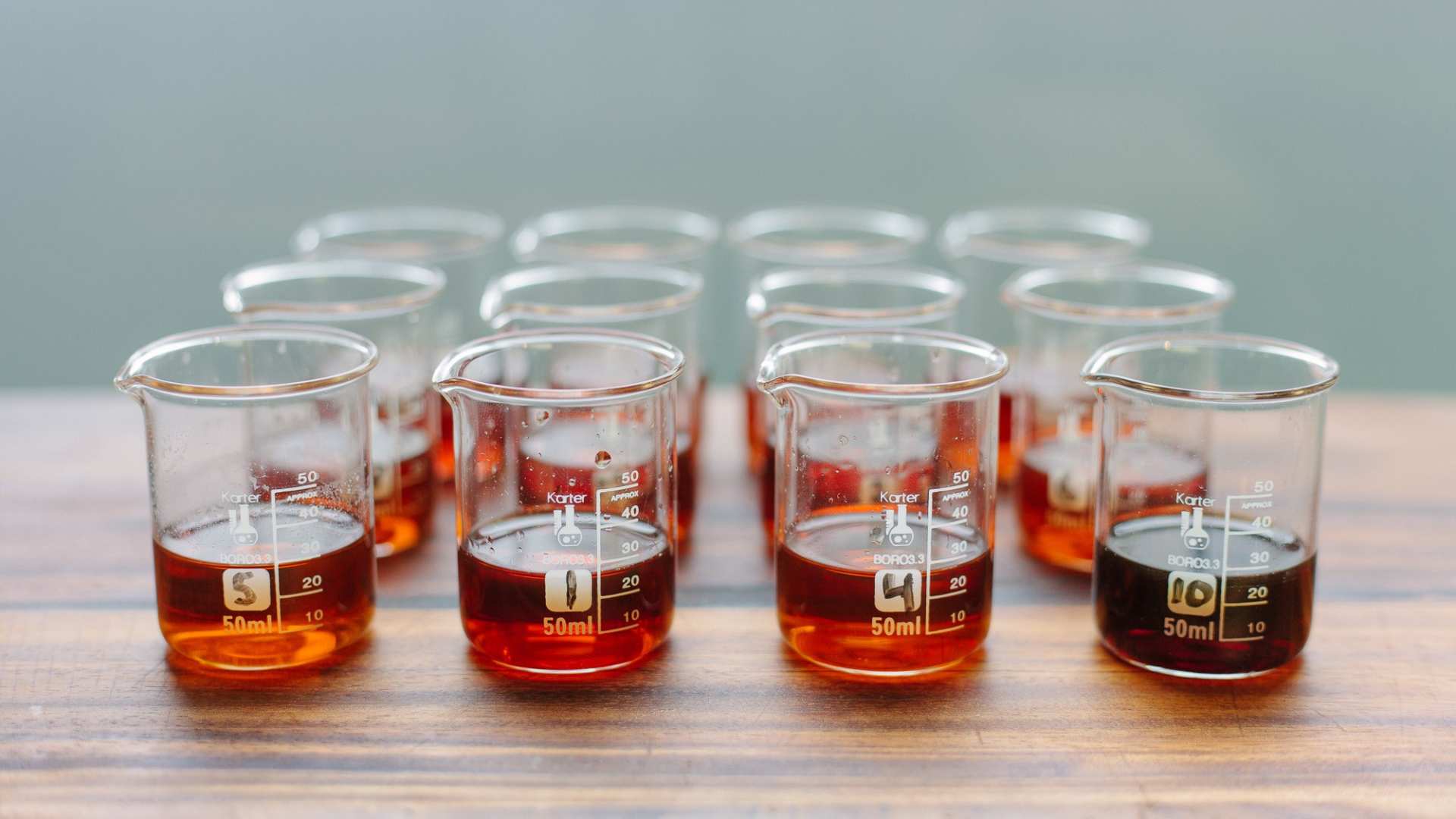 Fish Sauce Taste Testing