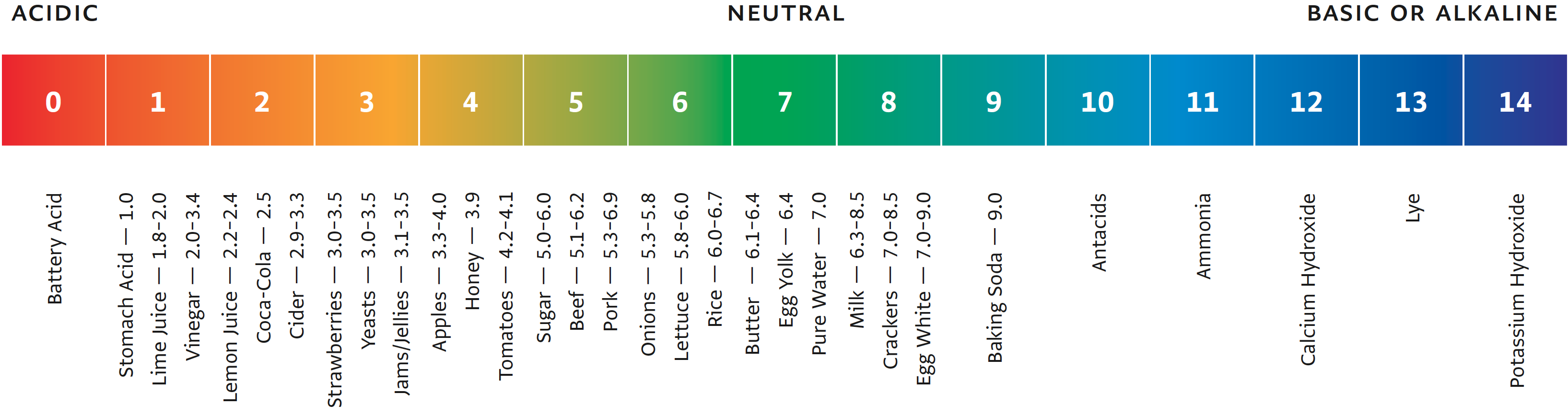 A Comprehensive Guide To Testing Ph Of Food And Drink